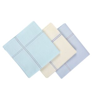 Men Pack Of 3 High Absorbency Pure Cotton Handkerchiefs