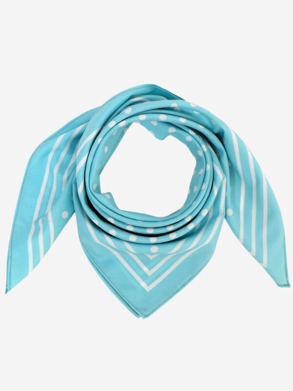 Beau Design Women Blue & White Printed Scarf
