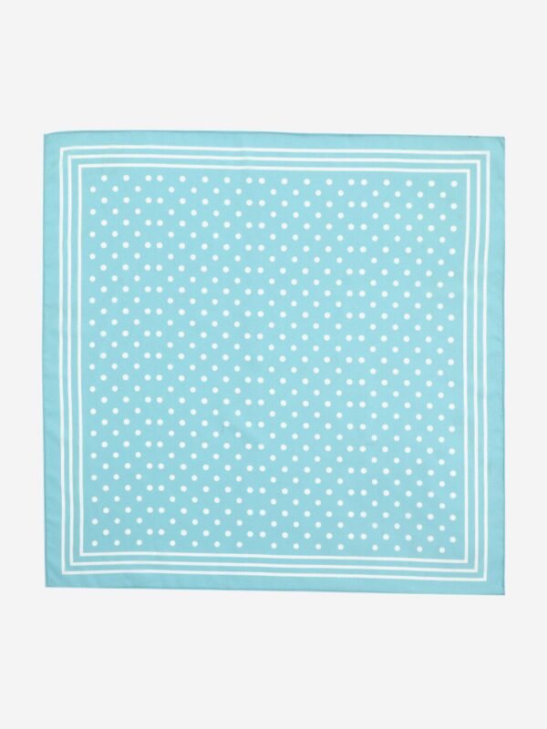 Beau Design Women Blue & White Printed Scarf - Image 3